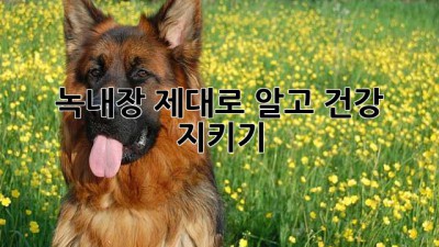 녹내장, 제대로 알고 건강 지키기