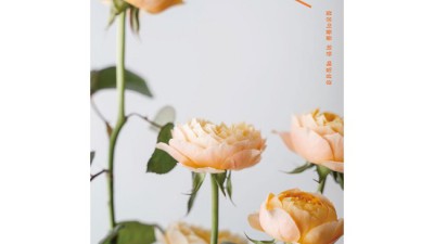 큐티아이11 후기: 솔직한 사용 후기와 꿀팁 대방출! ✨