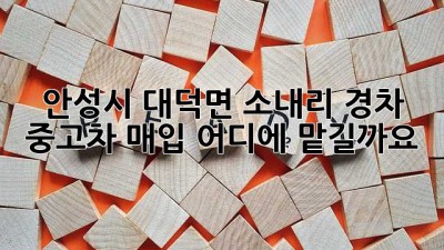 안성시 대덕면 소내리 경차 중고차 매입, 어디에 맡길까요?
