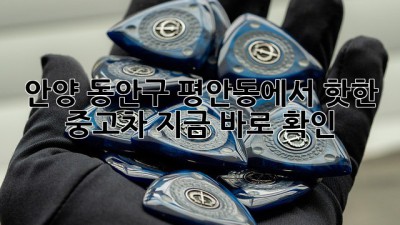 안양 동안구 평안동에서 핫한 중고차, 지금 바로 확인! 🚗💨