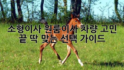 🚚 소형이사, 원룸이사 차량 고민 끝! 딱 맞는 선택 가이드 💡